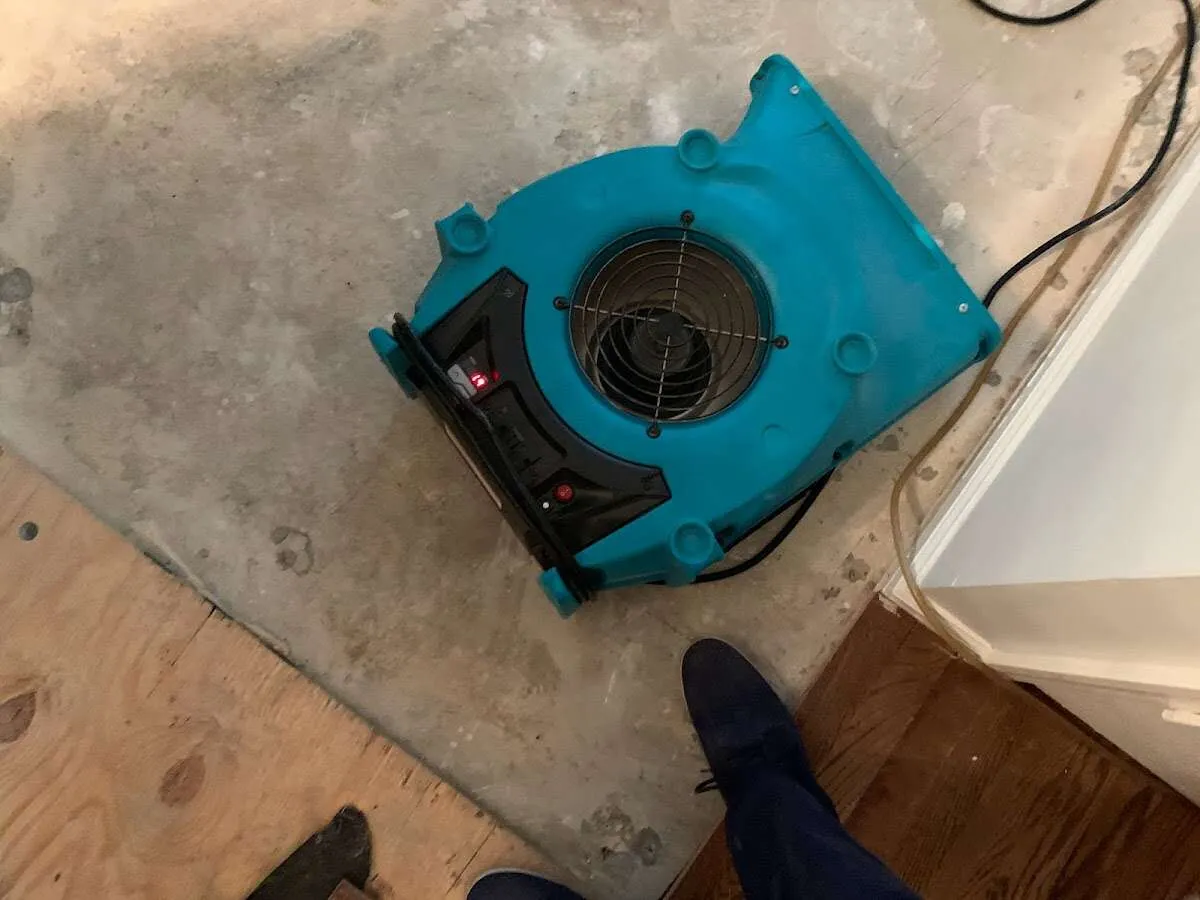 Air mover drying subfloor during Commercial Water Damage Restoration in Bridge City